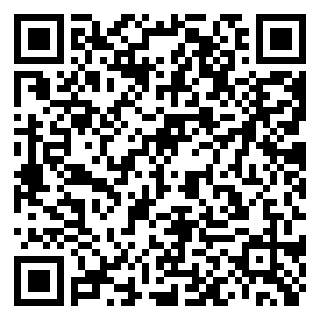 QR Code de Rollerbug