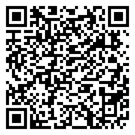 QR Code de Walt and Mickey Mouse