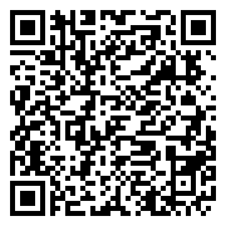 QR Code de The Dart Side