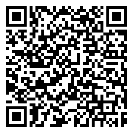 QR Code de Needle