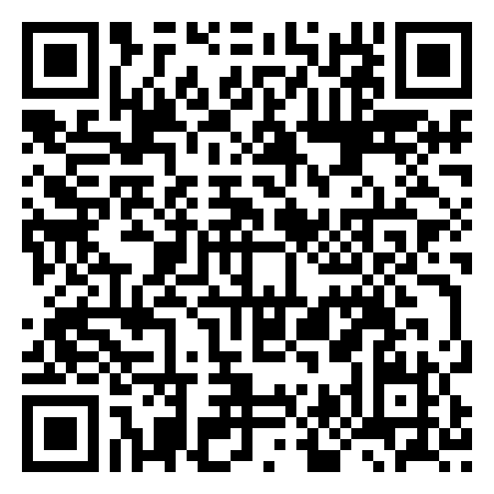QR Code de The Shit Museum