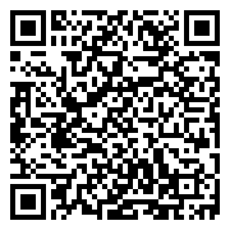 QR Code de Disco Paradise Bisso