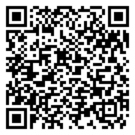QR Code de the wheel of venice - ruota panoramica