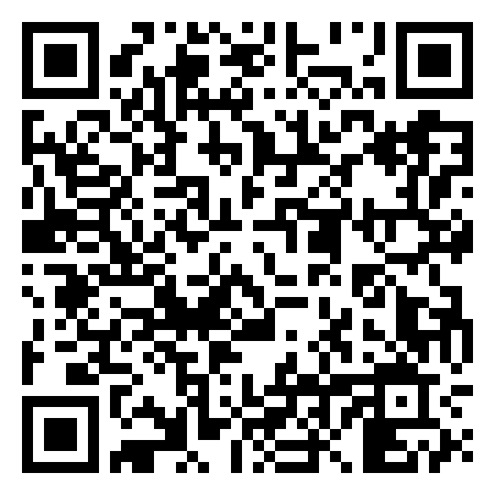 QR Code de Bird Roc