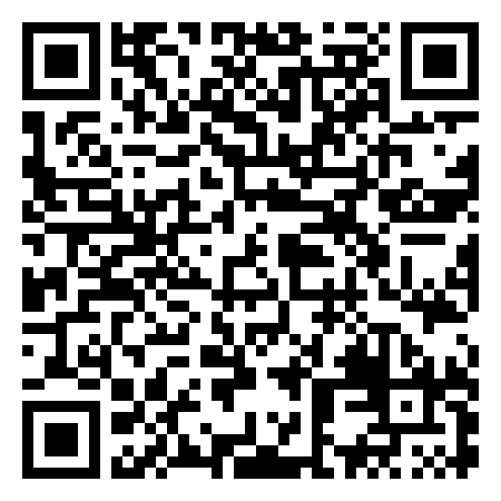 QR Code de Pointe Leone