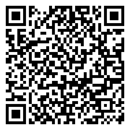 QR Code de Il Delfino Blu