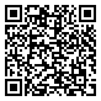QR Code de Storeys Amusement's