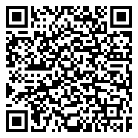 QR Code de Palo dei disabili