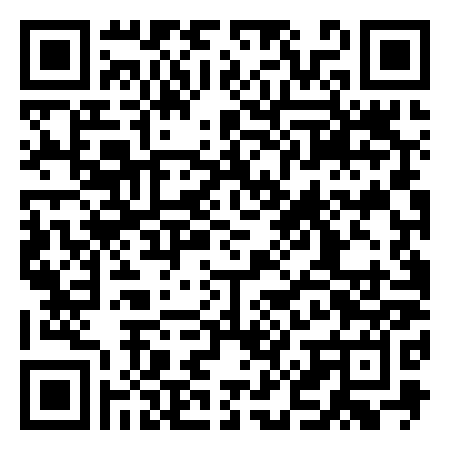 QR Code de The King of Water