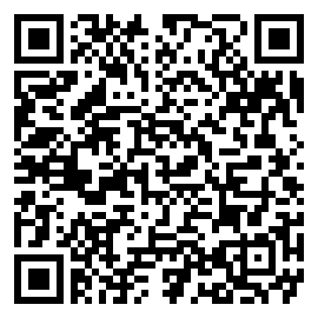 QR Code de Circus party
