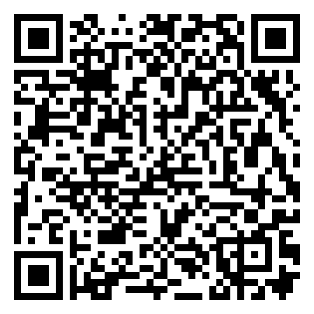 QR Code de Crique de la DOUANE