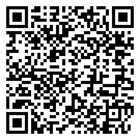 QR Code de Nemo 33