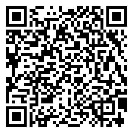 QR Code de Spinball Whizzer