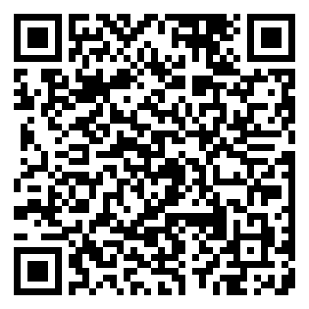 QR Code de Lecciona palo 13