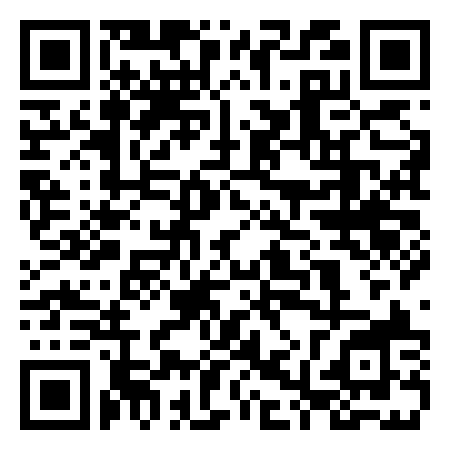 QR Code de Stabilimento Il Delfino Ostia