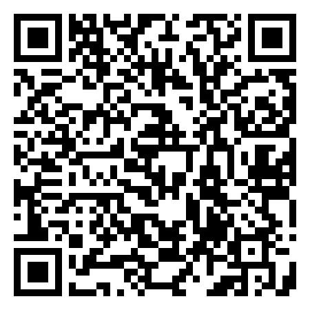 QR Code de Anillo Verde