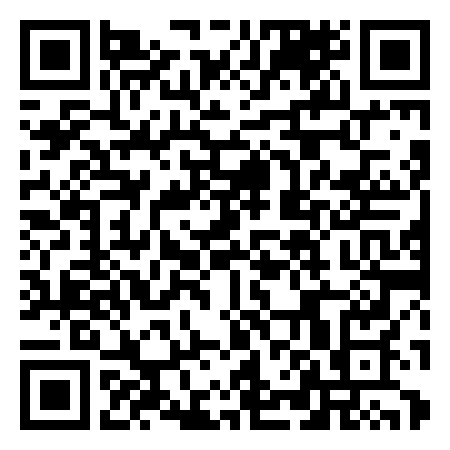 QR Code de Tête du Géant
