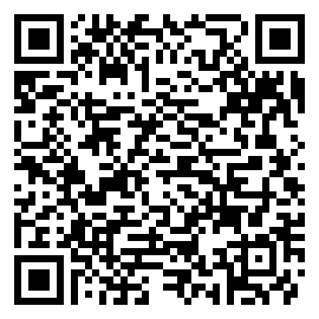 QR Code de Diy Disco
