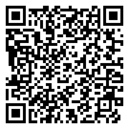 QR Code de Il Scoppiato Discobar Karaoke Torino