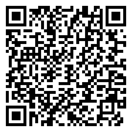 QR Code de Man's Paint