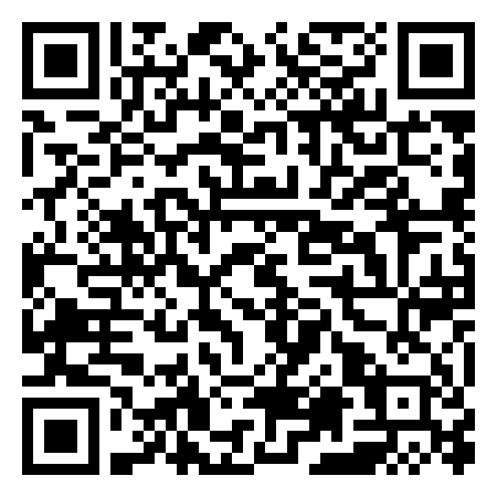 QR Code de VINILE