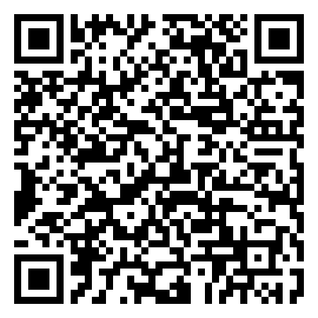 QR Code de Lier Up: De Stad Geverfd