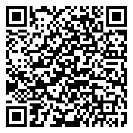 QR Code de Il Viciente s.a.s. di Bendinelli Antonio & c.
