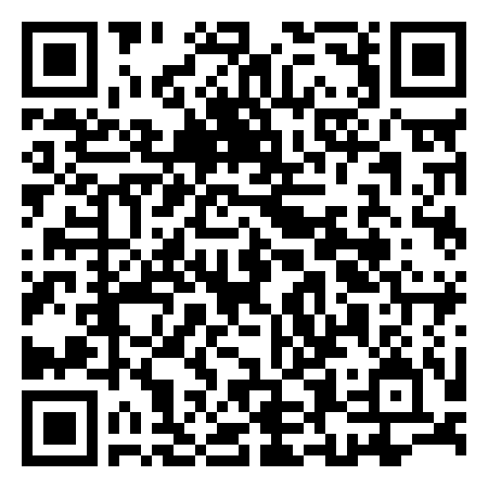 QR Code de Team Performance 55