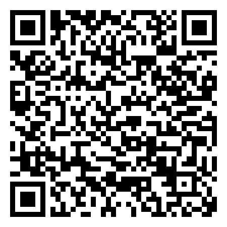 QR Code de Il Delfino