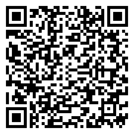 QR Code de Disco Phoenix