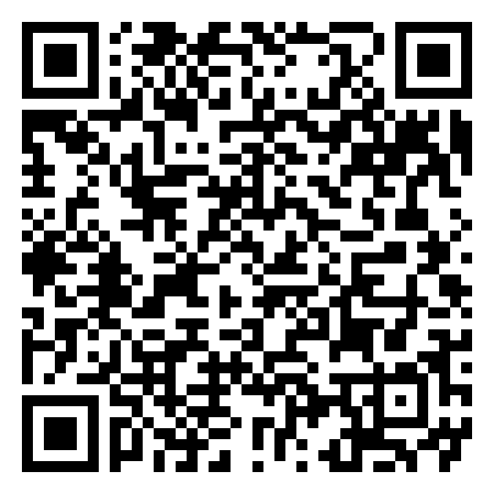 QR Code de Paint Your Lives