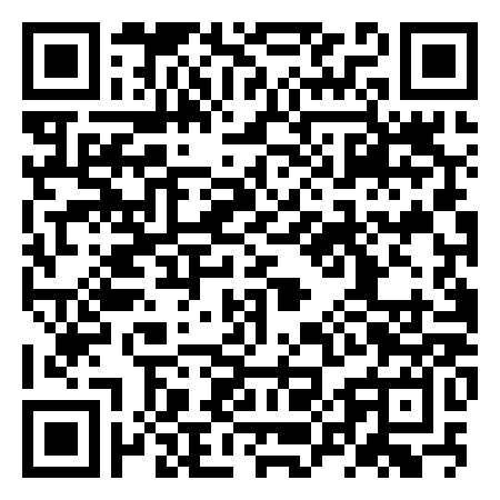 QR Code de N30