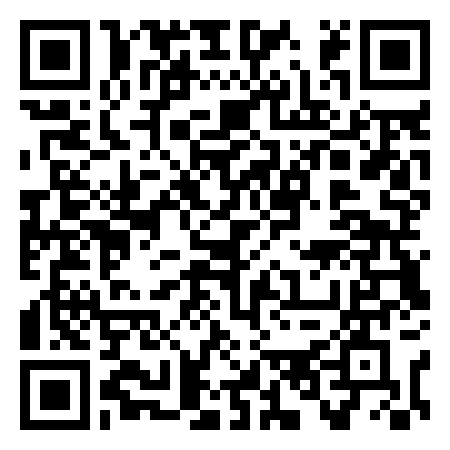 QR Code de Bar Elvis
