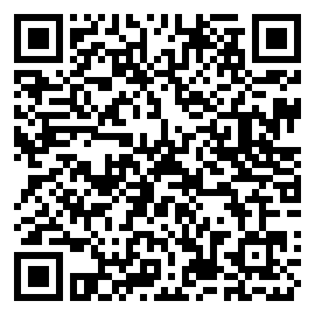 QR Code de Froggy Art