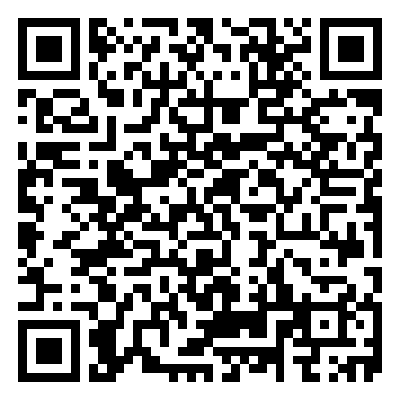 QR Code de Scivolomania