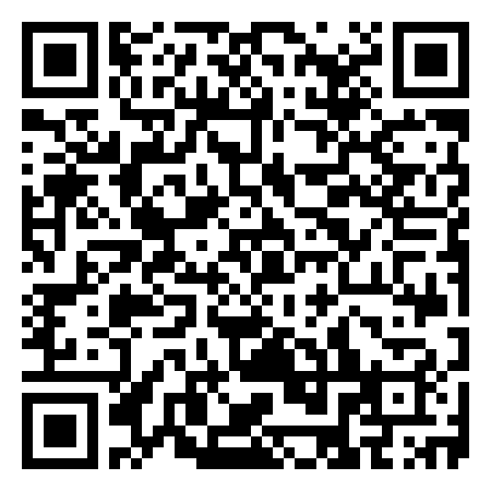 QR Code de Playa Paseos Chulos!