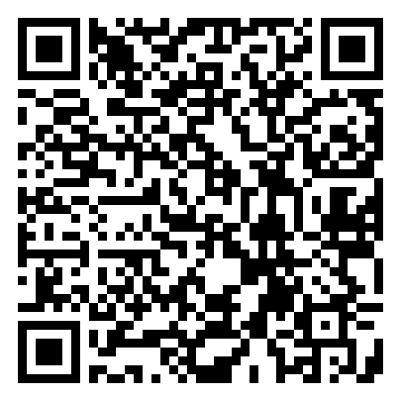 QR Code de REVOLUTION