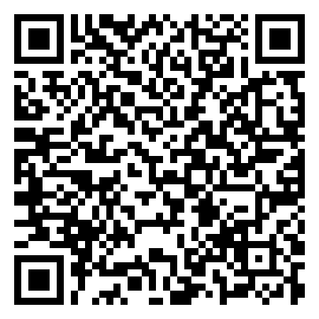 QR Code de Vinile