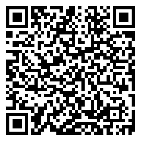QR Code de Fir Tree Flash