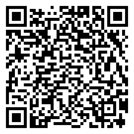 QR Code de Revolution Disco