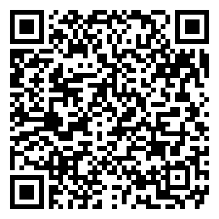 QR Code de The Disturb House Museum skateshop skateboard musée France Lyon