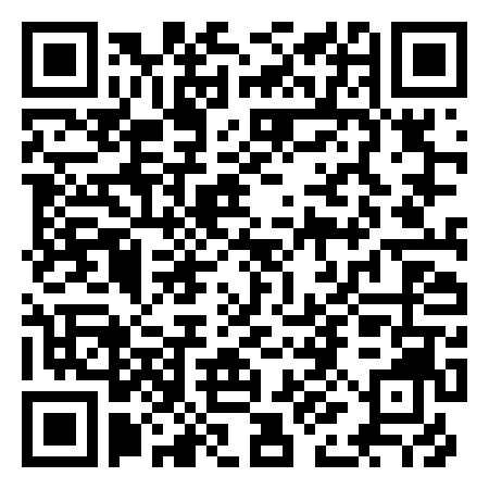 QR Code de Flight of the Sky Lion