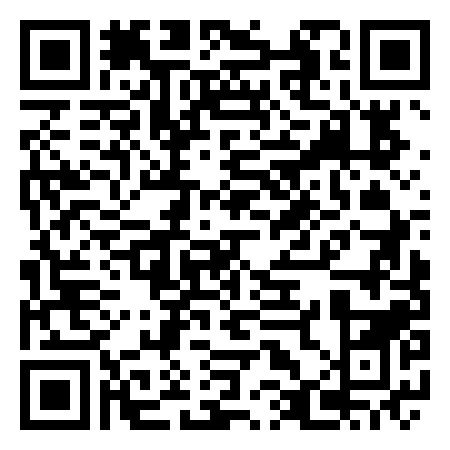 QR Code de Disneyland paris