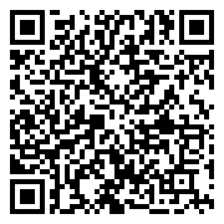 QR Code de Il sindaco di Via Ruga