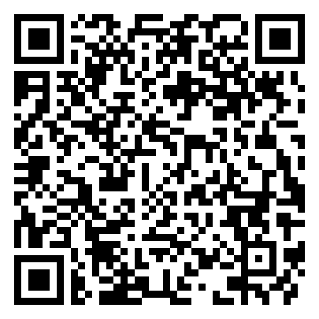 QR Code de Turtle's Coaster