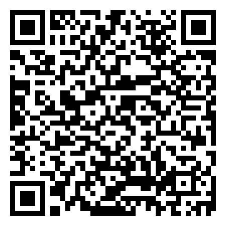 QR Code de Tiny