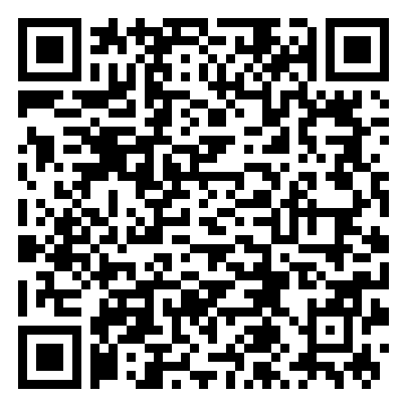 QR Code de Holly Ballon Uster