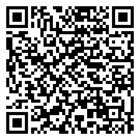 QR Code de Fusión VIP