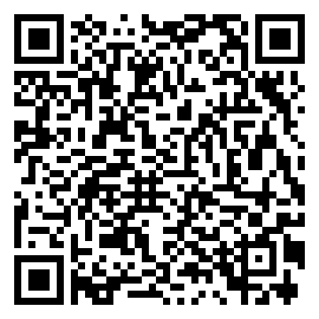 QR Code de Steinhaus