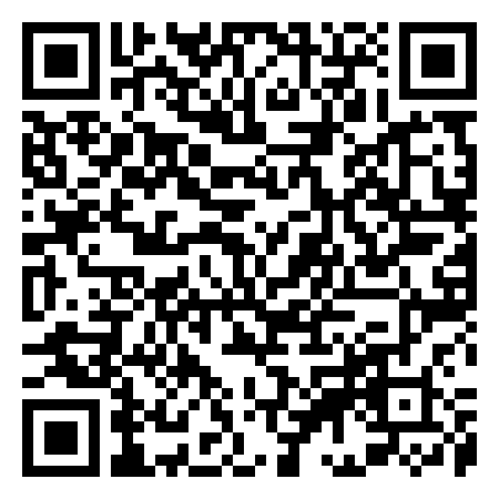 QR Code de 300 campi
